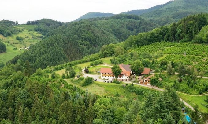 Durbach Apartment | Vacation farm Hölzleberg in Durbach in the Black Forest in the countryside with pool