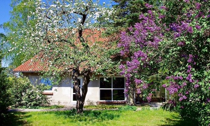 Basedow House | Vacation home Am Wald - Am Wald