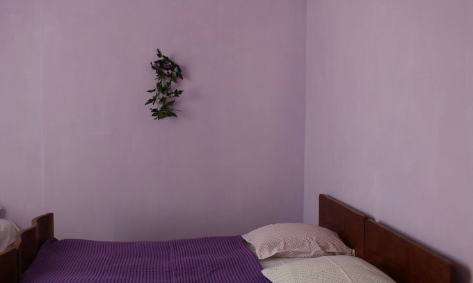 Telavi House | Vacation home Ekaterine