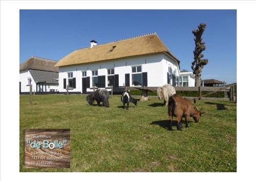 Bathmen House | Vakantiehuis 'De Bolle'