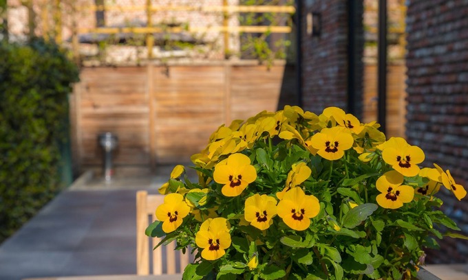 Bazel House | Vakantiewoning De Gulden Sleutels