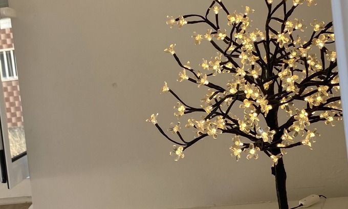 Santo Antonio dos Olivais Apartment | Vale das Flores Apartment