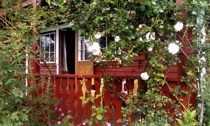 Brekendorf House | Very cozy Scandinavian log house in a quiet location on a large plot