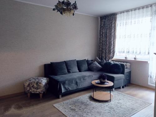 Taurage Apartment | Vieno kambario butas Gedimino g.