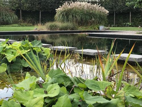 Ulicoten Bed & Breakfast | Vijverhoef