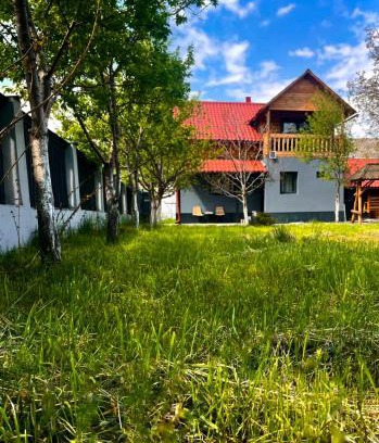 Viseu de Jos House | Vila din Grădină