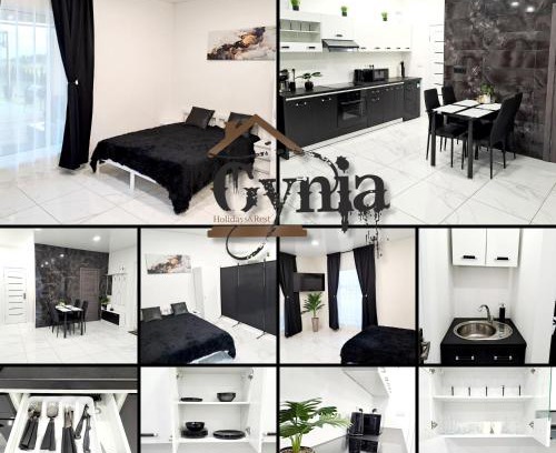 Kaunas County Villa | Vila Gynia