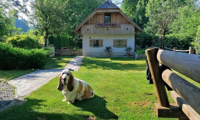 Radovljica Apartment | Vila Jana