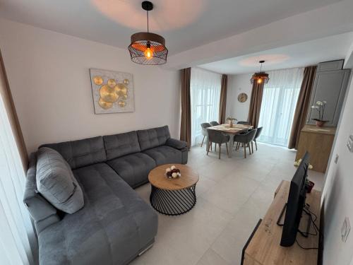 Ploiesti Villa | Vila Joy