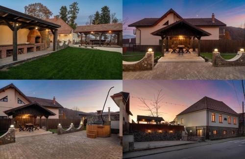 Cisnadioara Villa | Vila Luiza