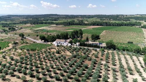 Venta del Moro House | VILASIRA (Rooms & Wines)