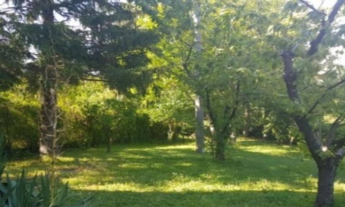 Monghidoro Villa | Villa Al Bosco