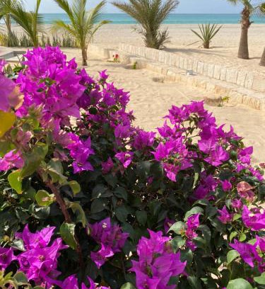Boa Vista Villa | Villa Alfredo Marchetti 13B
