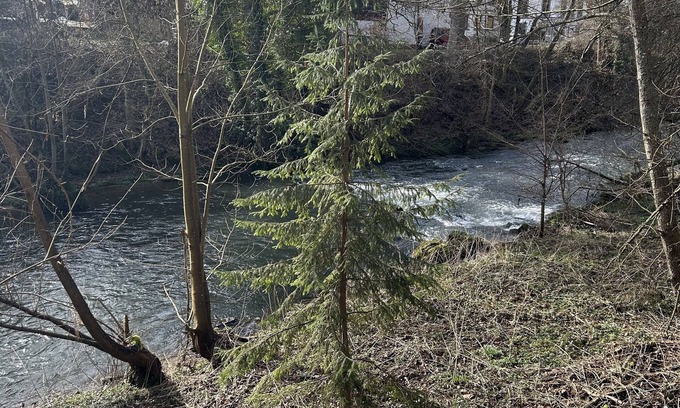 Wurm Villa | Villa am Fluss