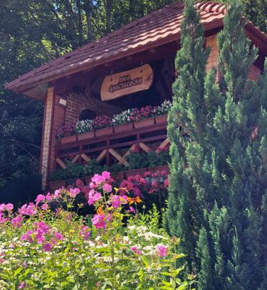 Mavrovo Villa | Villa Anastasoski