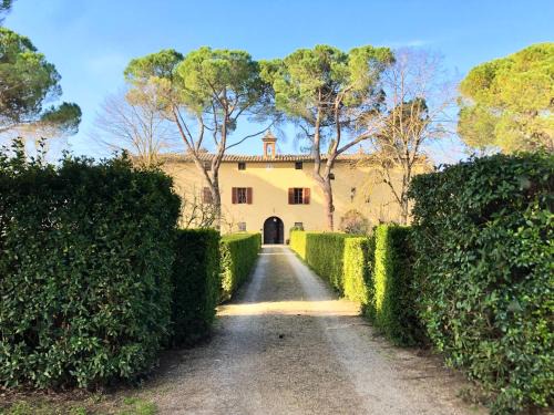 Ville di Corsano Apartment | Villa Buonsignori - Wine & Olive Oil Farm