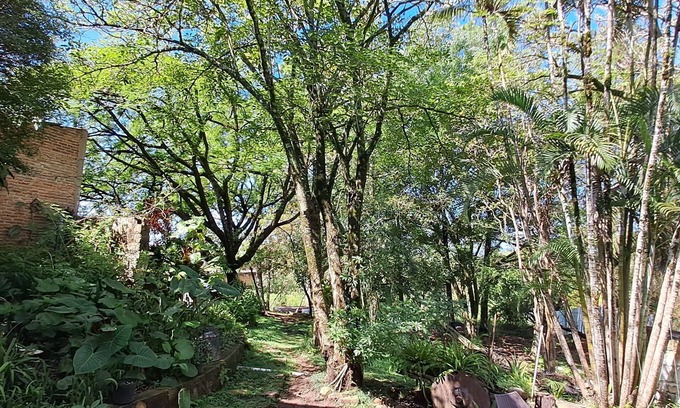 Valle de Angeles Bed & Breakfast | Villa Chelsey