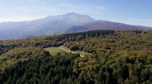 Gatnje Villa | Villa Cherry Strazhe