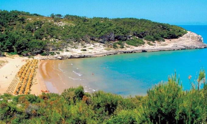 Peschici Bed & Breakfast | Villa D'Amato
