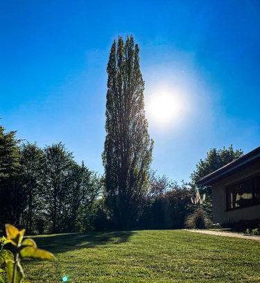 Munchweiler an der Rodalb Villa | Villa Münchweiler