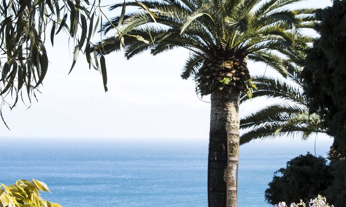 Alassio Bed & Breakfast | Villa della Pergola