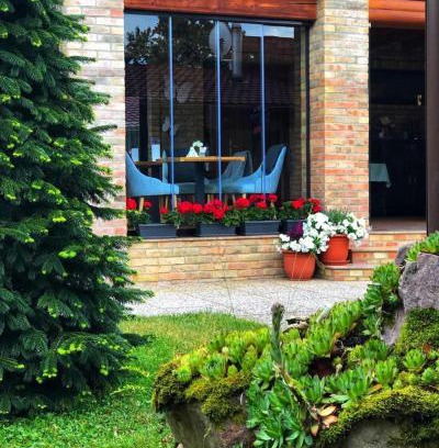Budureasa Villa | Villa Diva