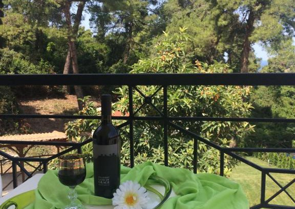 Siviri Villa | Villa Elani