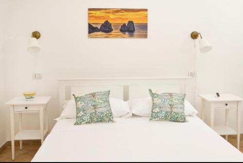 Marina Grande House | Villa Eudesandra
