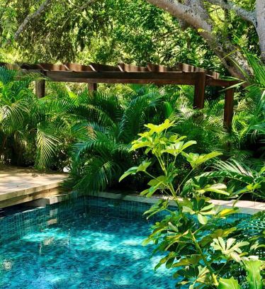Palomino Bed & Breakfast | Villa Fátima Ecohostal