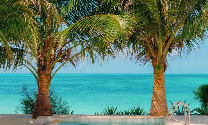 Jambiani House | Villa Hibiscus