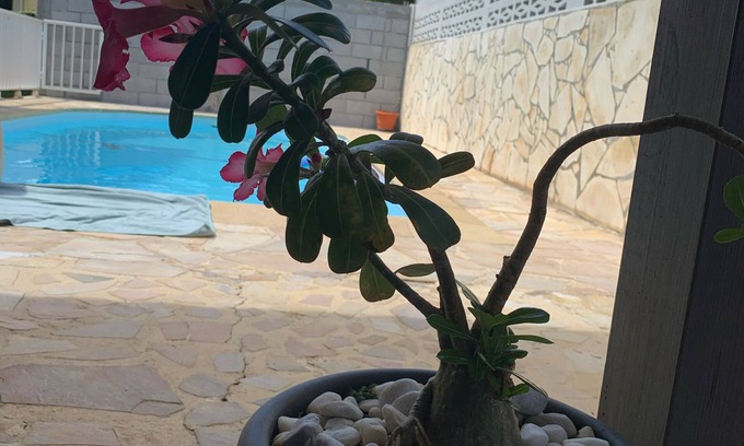 Saint-Joseph House | Villa ILOZA in the heart of Martinique