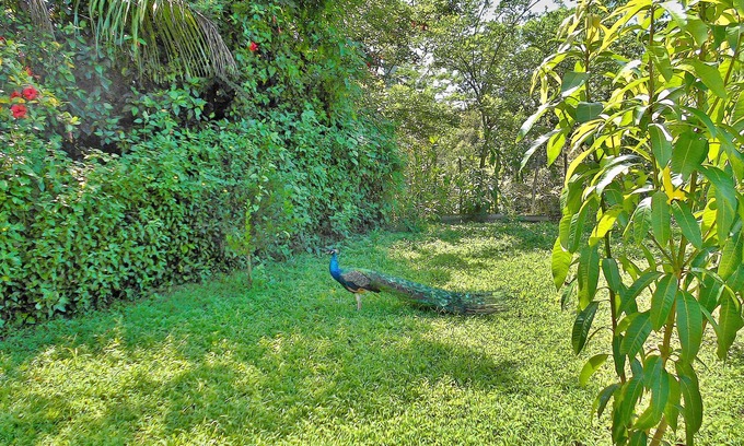 Artemisa House | Villa Juanita