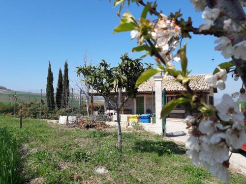 Montenero di Bisaccia House | Villa Lemme