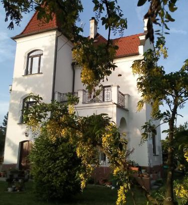 Bechyne House | Villa Liduška s kavárnou