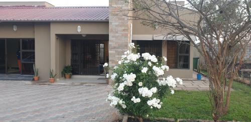 Lusaka Apartment | Villa Lombe, Off Great East Road, Silverest