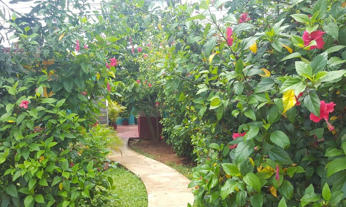 Vinales House | Villa Los Reyes