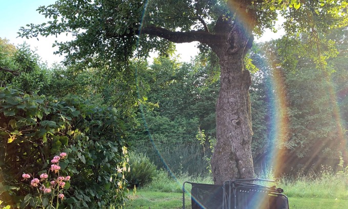 Stora Rycketofta House | Villa Maria Garden Cottages