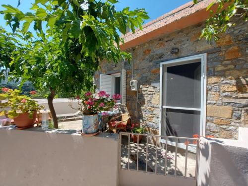 Kato Metochi House | Villa Maria