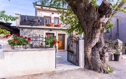 Milohnici House | Villa Mulberry
