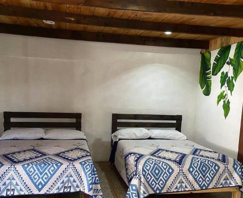 Xilitla House | Villa Olaya Completo