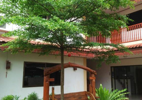 Wua Lai Hotel | Villa Oranje Chiang Mai