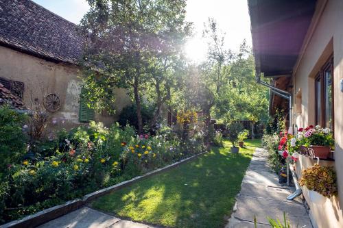 Richis House | Villa Rihuini Eco Wine house Transylvania