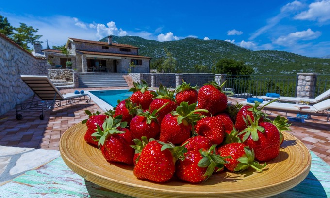 Vrgorac Villa | Villa Rustica Duge Njive