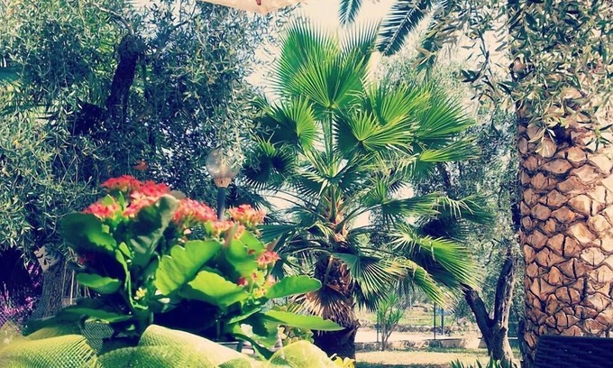 Defensola Bed & Breakfast | Villa Vale Mery
