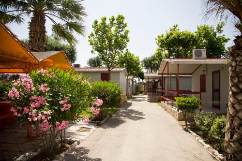 Zapponeta Resort | Villaggio Albergo Cervo