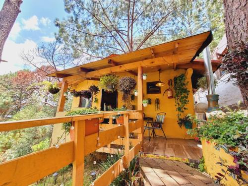 Mazamitla Cabin | Villas De Los Pinos 2