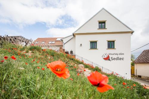 Sedlec House | Vinařský dům Sedlec