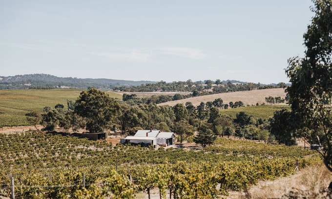 Upper Wakefield Cottage | Vineview Cottage- A Farmhouse Cottage set on a Riesling Vineyard. Near Wineries!