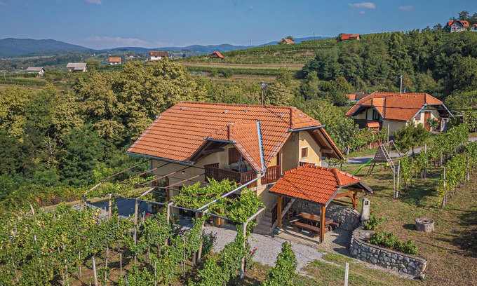 Drasici Ski Chalet | Vineyard Cottage Brodaric, Metlika, Slovenia