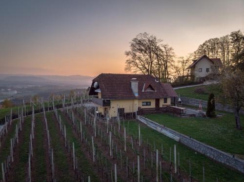 Trska Gora Apartment | Vineyard cottage Hočevar